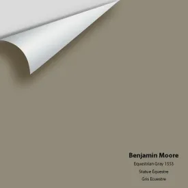 Benjamin Moore - Equestrian Gray 1553 Colour Sample