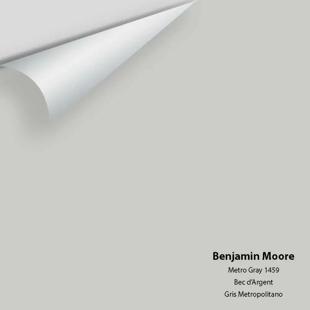 Benjamin Moore - Metro Gray 1459 Colour Sample